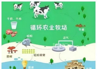 畜禽养殖污染防治规划,减少环境污染,实现绿色养殖 畜禽养殖污染防治规划,减少环境污染,实现绿色养殖