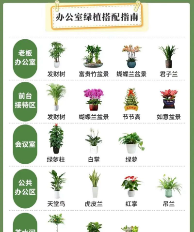 盆栽花卉市场,选购技巧,新手避坑指南 盆栽花卉市场,选购技巧,新手避坑指南