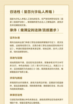 鸵鸟可以私人养殖吗,了解政策规定,掌握养殖条件 鸵鸟可以私人养殖吗,了解政策规定,掌握养殖条件