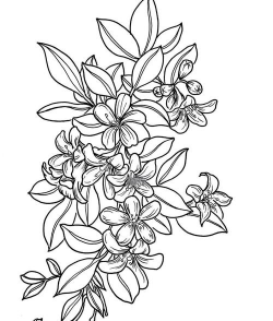 养花托盘，选对材质，用对方法