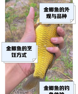 养花托盘，选对材质，用对方法