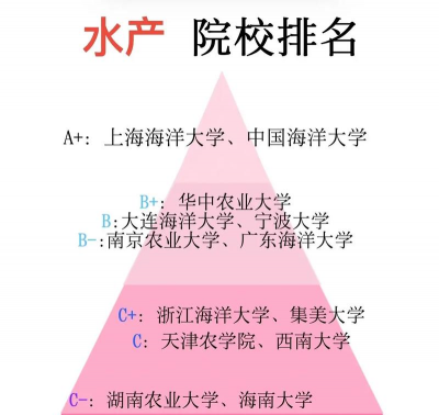 养花说课稿，教学重点解析，课堂互动设计