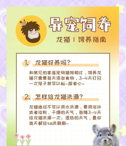 养殖龙猫赚钱吗，市场前景如何，投入产出比分析