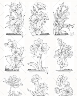 手绘花卉图案,入门技巧分享,轻松画出美感 手绘花卉图案,入门技巧分享,轻松画出美感