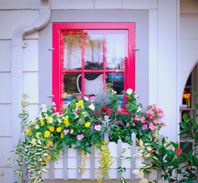 鸡蛋养殖，提升产量，确保品质