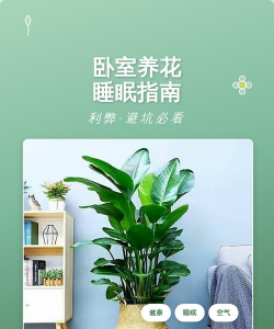 烧土养花，改善土壤，提升植物生长