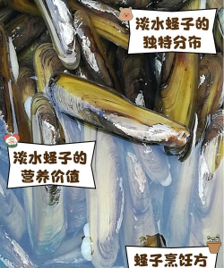 烧土养花，改善土壤，提升植物生长