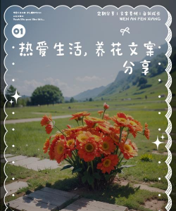 米兰花卉，养护要点，新手也能养好