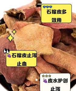 米兰花卉，养护要点，新手也能养好