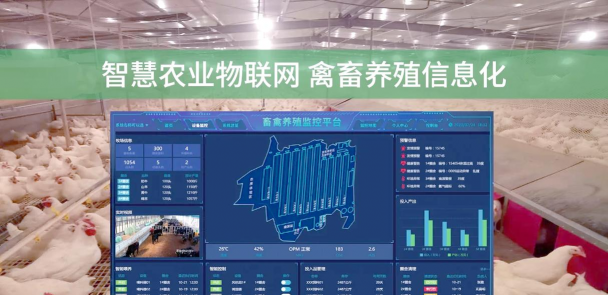 养花招蚊子，原因与对策，轻松解决烦恼