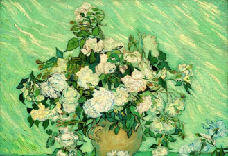 养花招蚊子，原因与对策，轻松解决烦恼