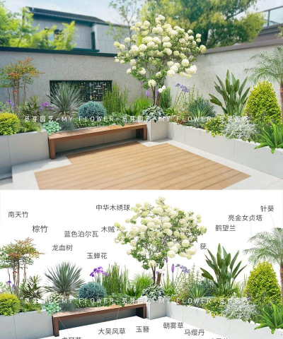 喜欢养花人,如何挑选植物,轻松打造花园 喜欢养花人,如何挑选植物,轻松打造花园