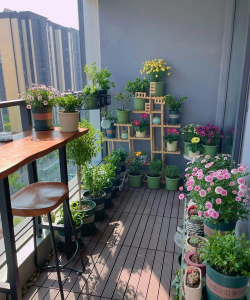 在家里养花,新手入门指南,轻松打造小花园 在家里养花,新手入门指南,轻松打造小花园