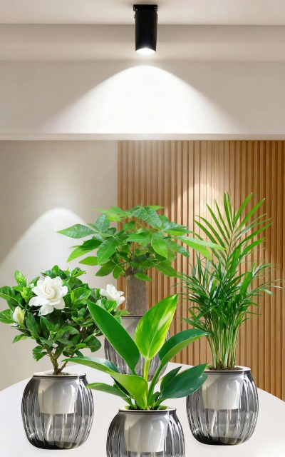 养花日记200字，记录生活点滴，分享种植乐趣