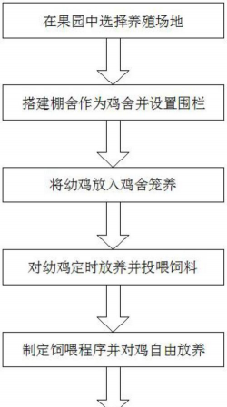蟹的养殖，技术要点，常见问题