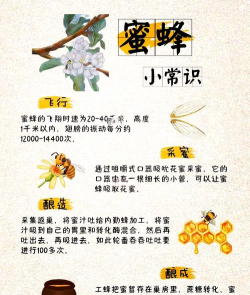 蜜蜂的养殖技术与管理，新手入门指南，常见问题解答