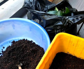 养花说课稿，教学重点解析，课堂互动设计