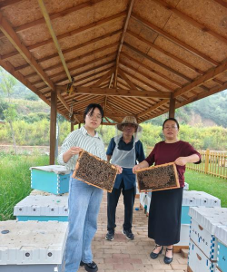 养花说课稿，教学重点解析，课堂互动设计