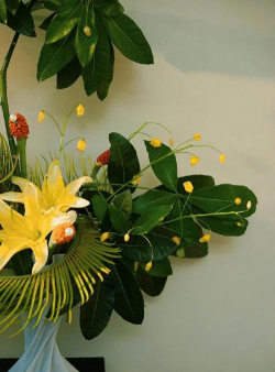 养花说课稿，教学重点解析，课堂互动设计