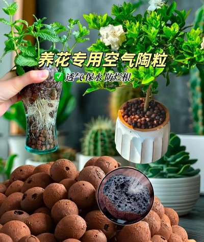 种植花卉的方法，新手入门指南，轻松打造花园
