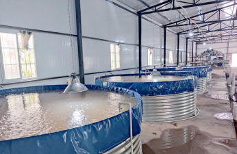 烧土养花，改善土壤，提升植物生长