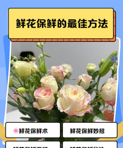 养花保鲜，延长花期，实用技巧分享