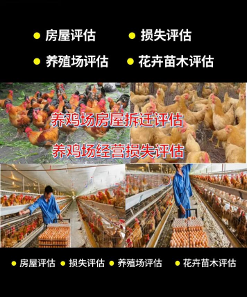 养殖场一平米赔偿多少，各地标准不同，关键看评估