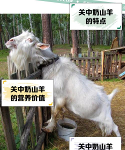 养花不好的人煞气多，养花常见问题，如何化解煞气