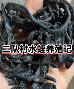 树根养花，废物利用，省钱又环保