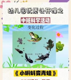 家里阳光不足怎么养花，选对植物种类，掌握养护技巧