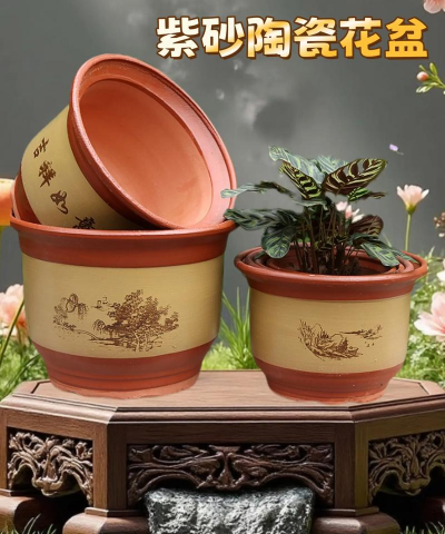 紫砂盆养花,透气性更好,植物生长更健康 紫砂盆养花,透气性更好,植物生长更健康