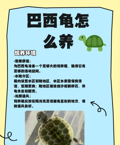 养花不好的人煞气多，养花常见问题，如何化解煞气