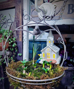 养花不好的人煞气多，养花常见问题，如何化解煞气