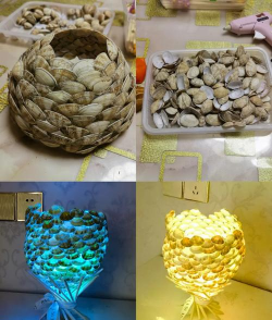 养花不好的人煞气多，养花常见问题，如何化解煞气