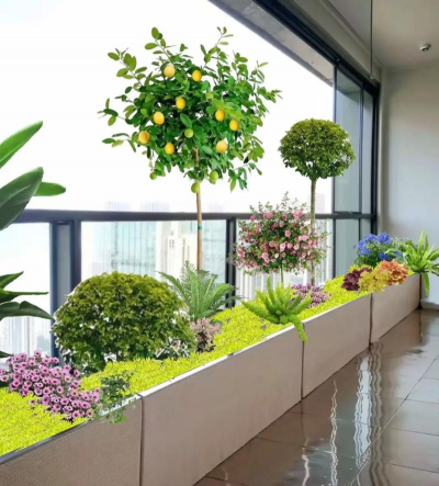 木盆养花,选对花盆,轻松打造阳台花园 木盆养花,选对花盆,轻松打造阳台花园