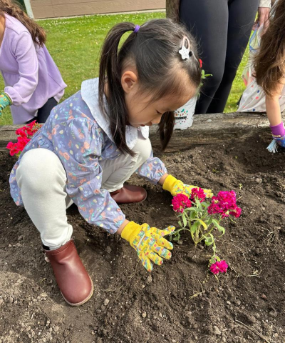 养花不好的人煞气多，养花常见问题，如何化解煞气
