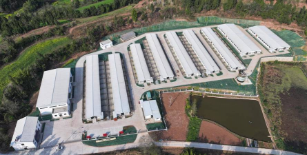 四川简阳大众养殖公司,了解养殖模式,掌握合作要点 四川简阳大众养殖公司,了解养殖模式,掌握合作要点