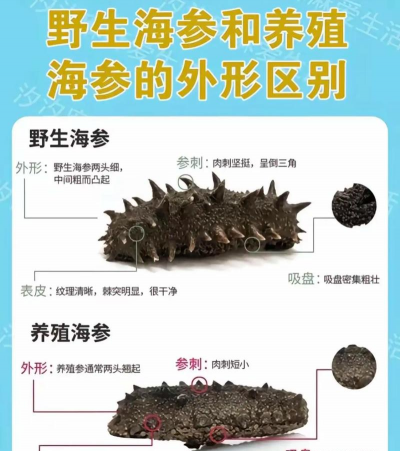 室内花卉装饰，提升居家氛围，打造自然空间