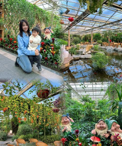 室内花卉装饰，提升居家氛围，打造自然空间