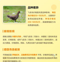 青鱼养殖，掌握关键技巧，提升养殖效益