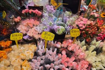 醋糟养花，废物利用，改善土壤