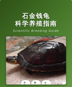 醋糟养花，废物利用，改善土壤