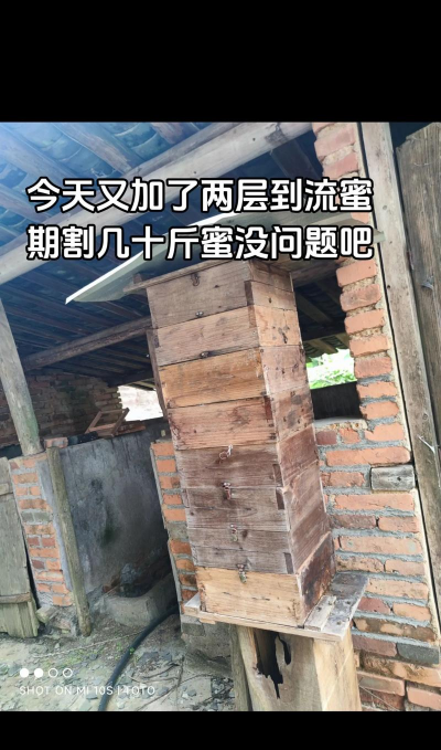 养花不好的人煞气多，养花常见问题，如何化解煞气