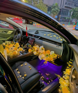 汽车里养花,提升车内氛围,注意安全细节 汽车里养花,提升车内氛围,注意安全细节