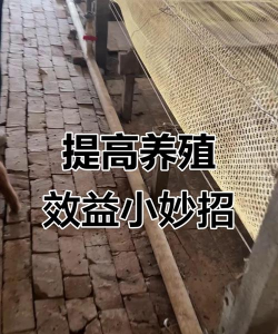 醋糟养花，废物利用，改善土壤