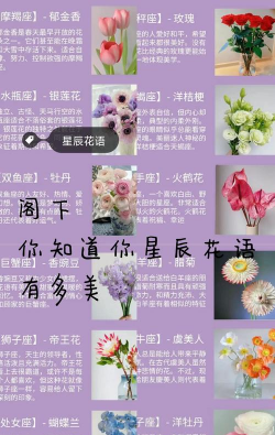 养花人社区，交流种植经验，分享养花乐趣