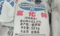 养花人社区，交流种植经验，分享养花乐趣