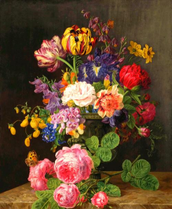 鸡蛋养殖，提升产量，确保品质