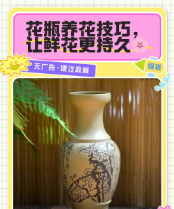 鸡蛋养殖，提升产量，确保品质