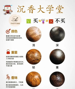 瑞香科沉香属是什么意思